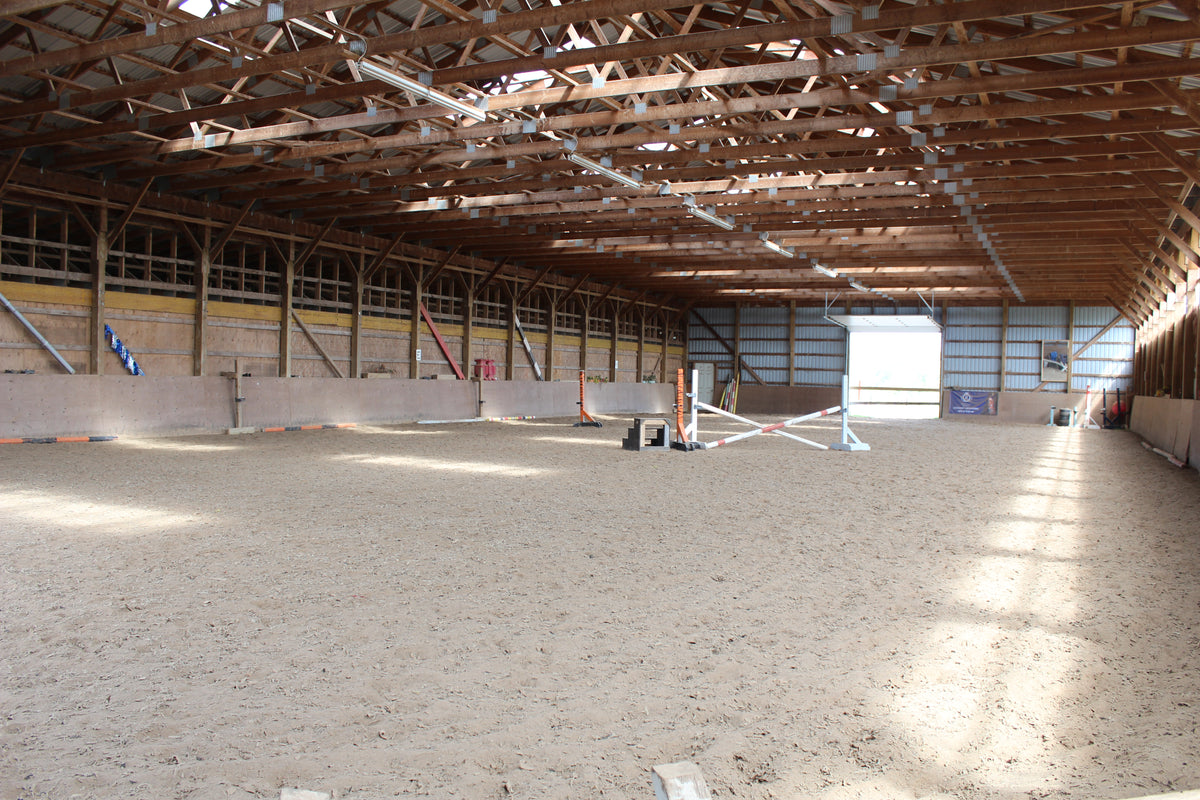 Beginner Group Lessons – Ridgedale Equestrian